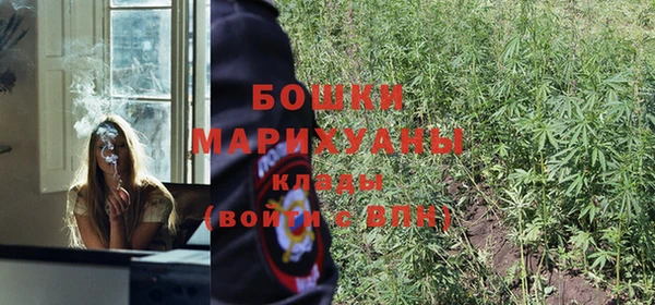 марки nbome Белокуриха